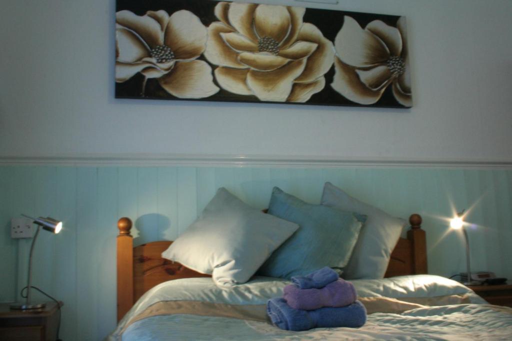 Devon View Guesthouse Swansea Habitación foto