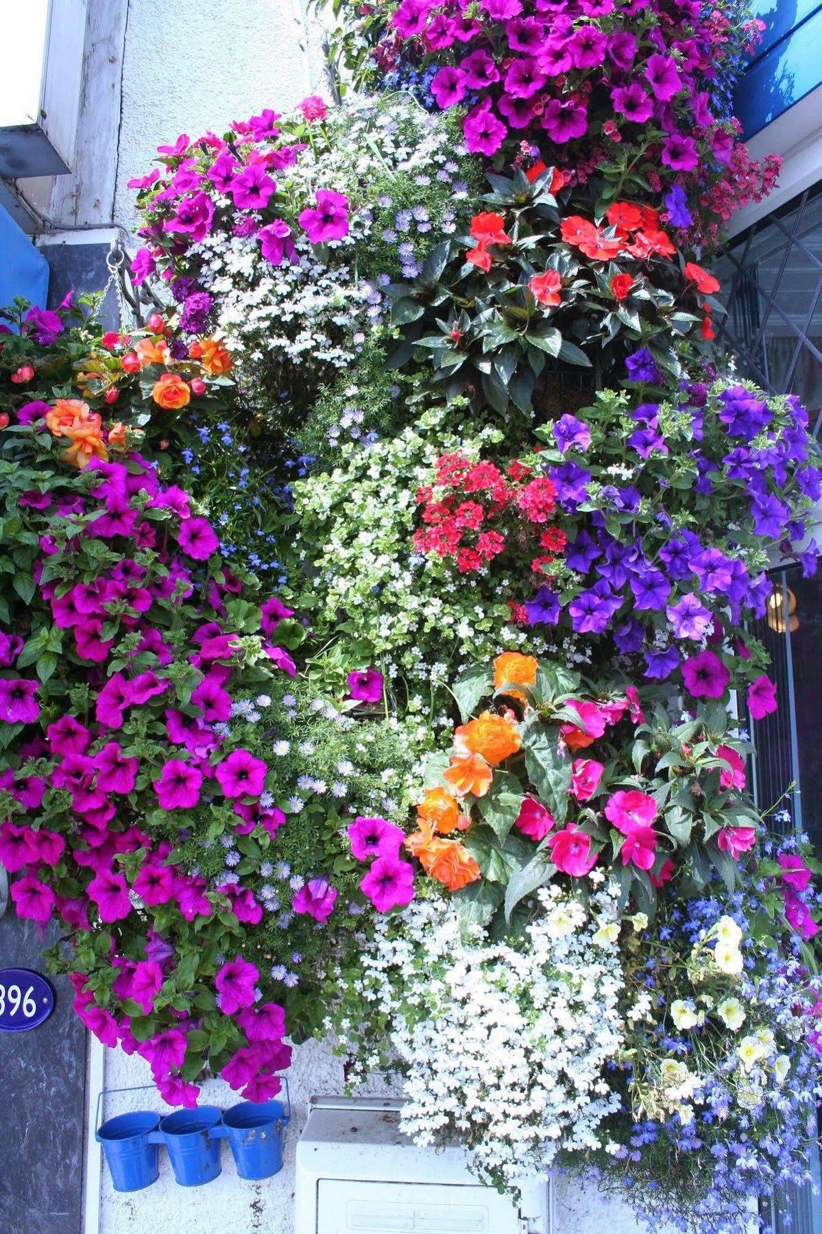 Devon View Guesthouse Swansea Exterior foto