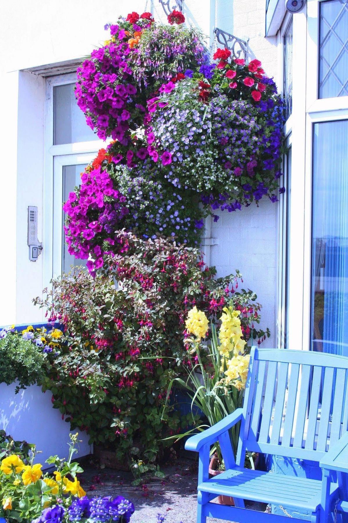 Devon View Guesthouse Swansea Exterior foto